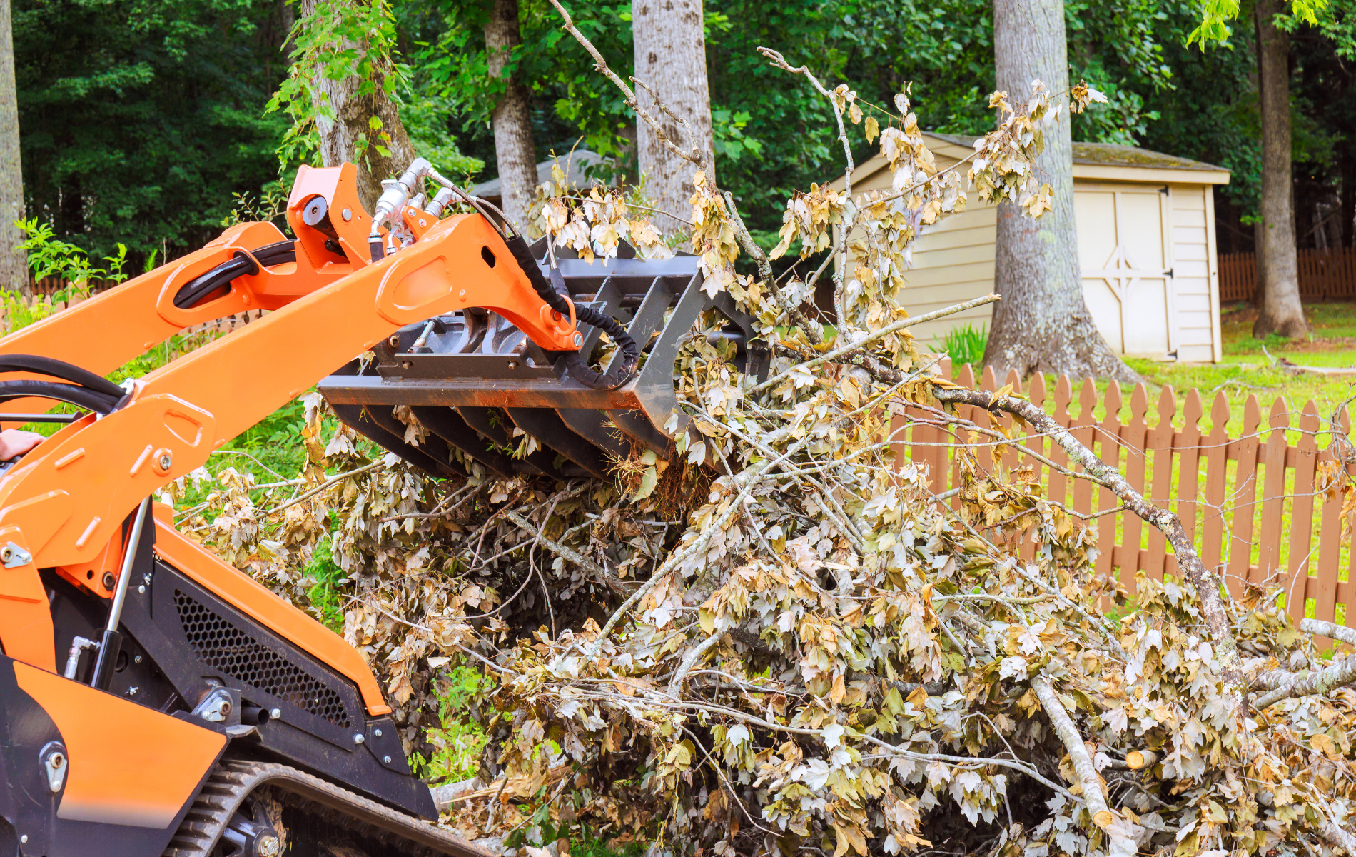 Orange skid steer loader clearing brush near a wooden fence and shed.