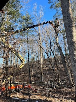 A tree service lift trimming bare trees on a hillside under a blue sky.