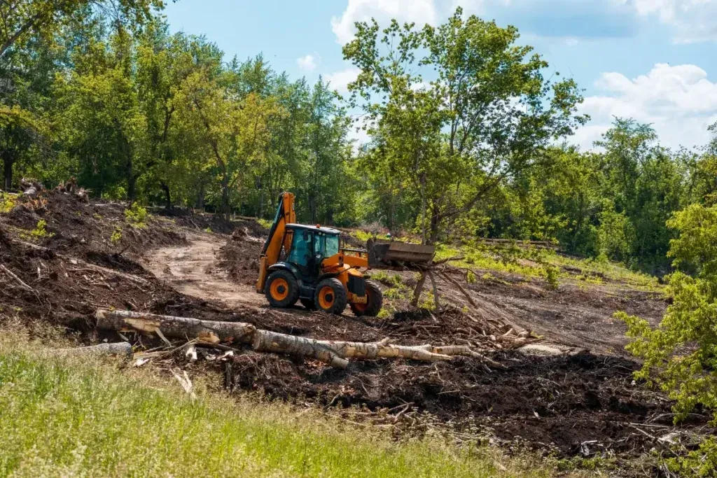 An orange backhoe clearing a forested hillside of trees.