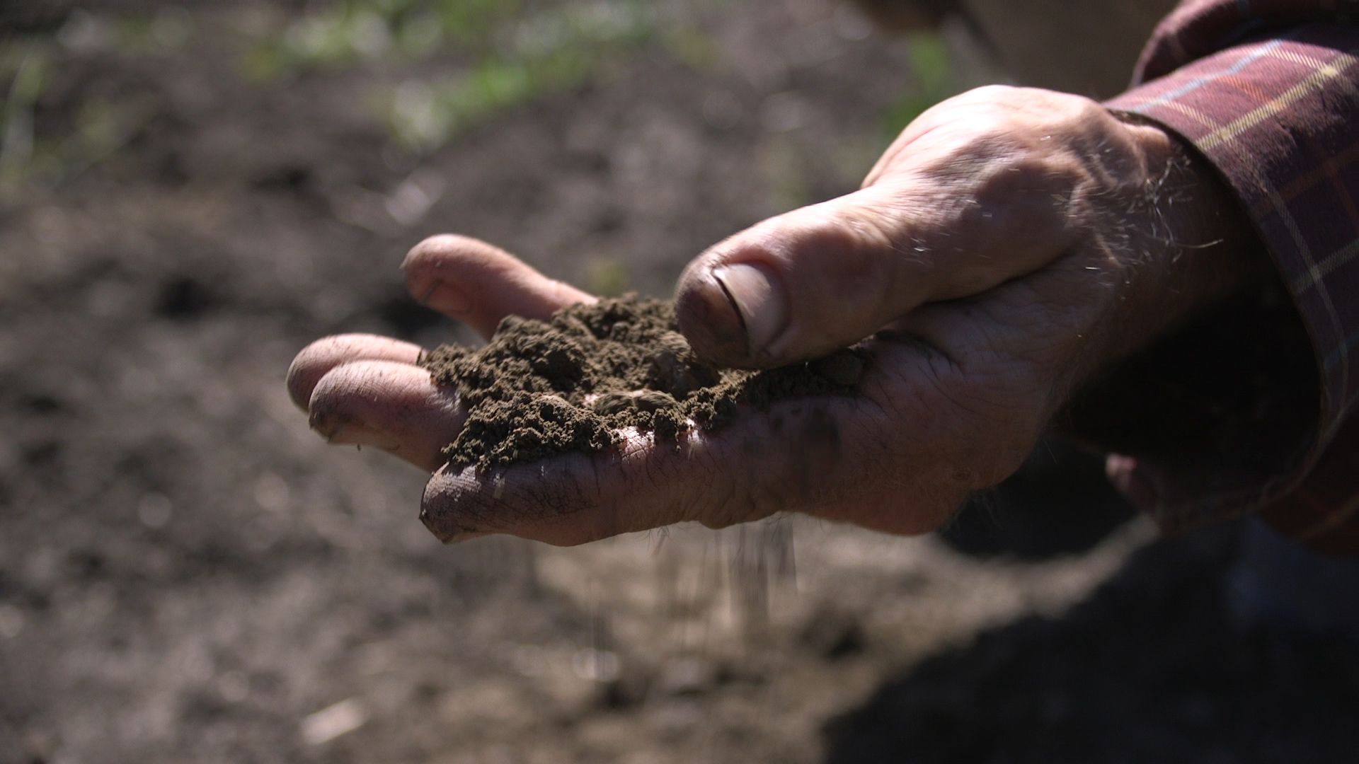 a pile of soil in a farmer's hand