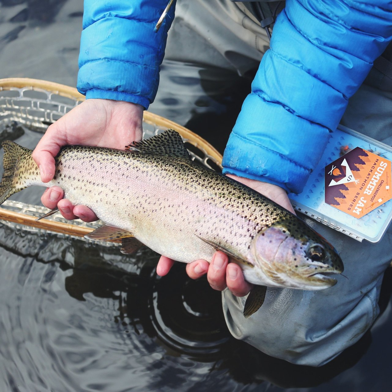 a person is holding a rainbow trout in their hands