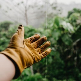 a person wearing a leather glove reaches out towards the rain