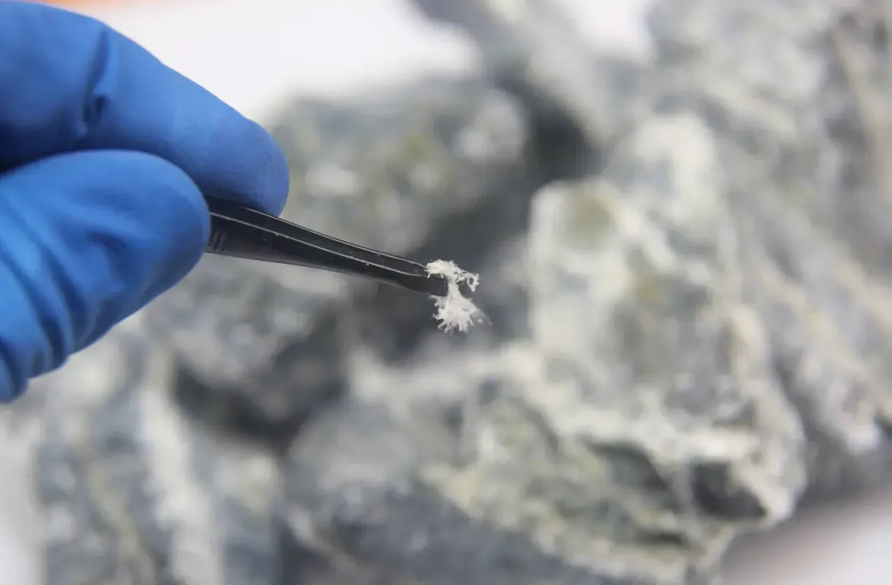 How Much Is Asbestos Testing?