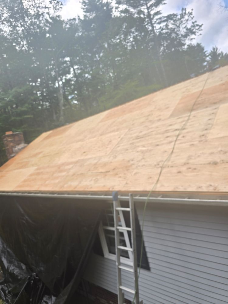 Roof with new plywood sheathing, ladder against the house, and a tarp over a section.