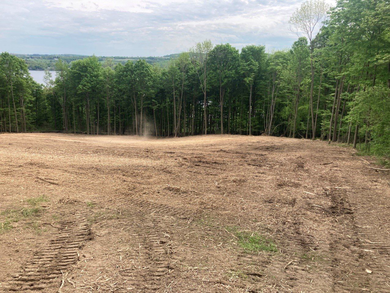 5 acres of cleared land 2