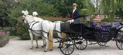 carriage hire 