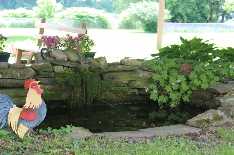 Facility Photos | River View Manor