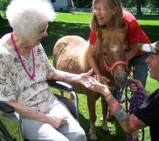 Elderly woman petting a mini horse.