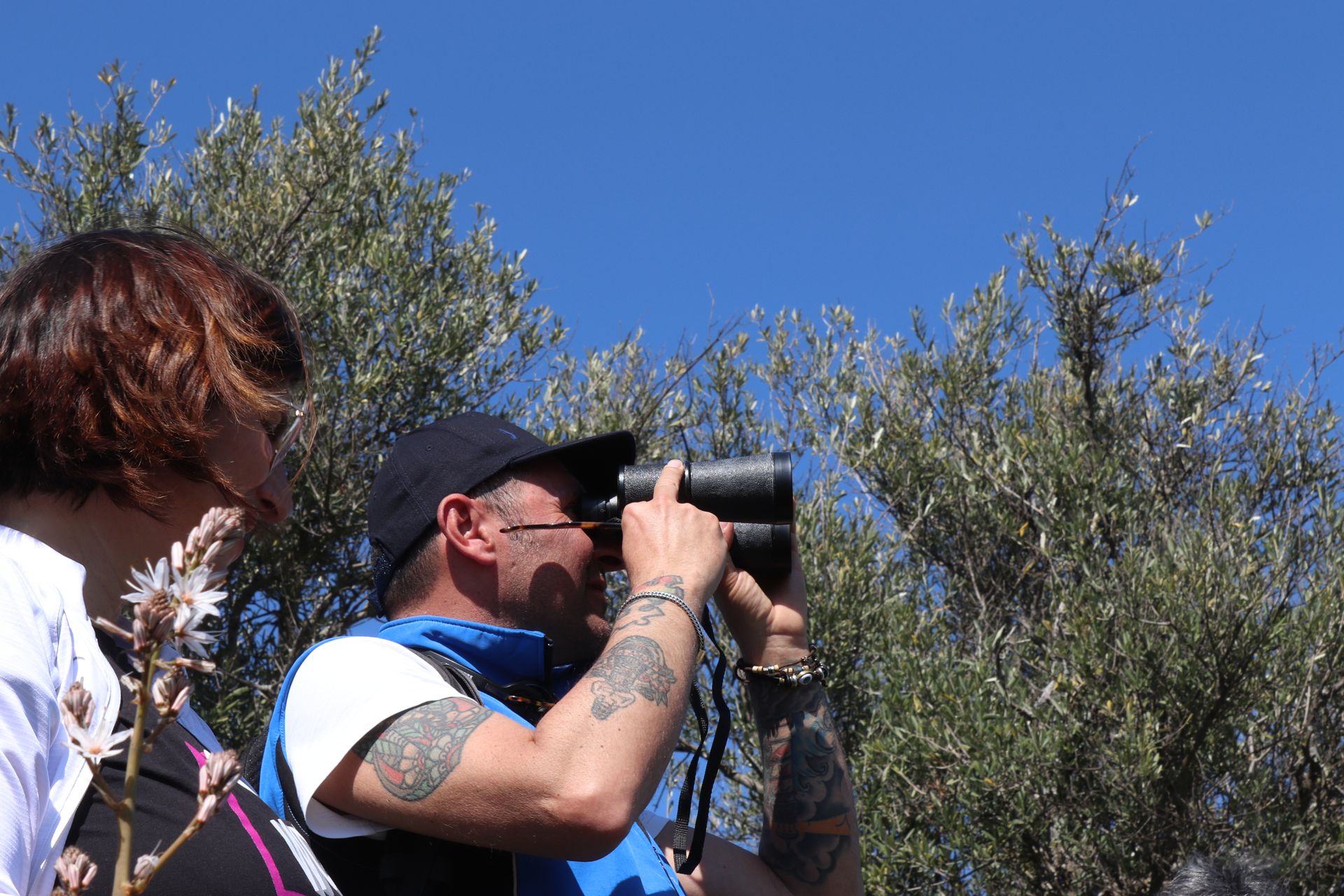 Osservazione fauna selvatica in Puglia
