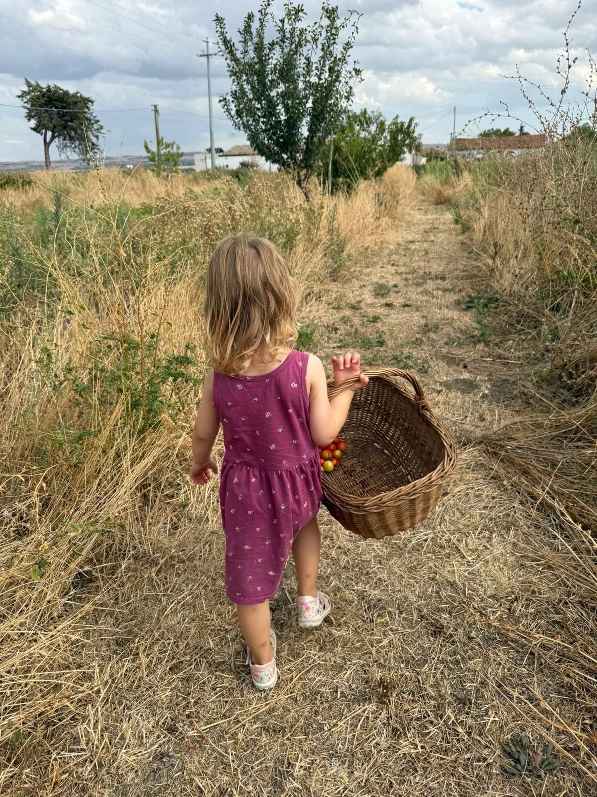 Orto didattico Foggia