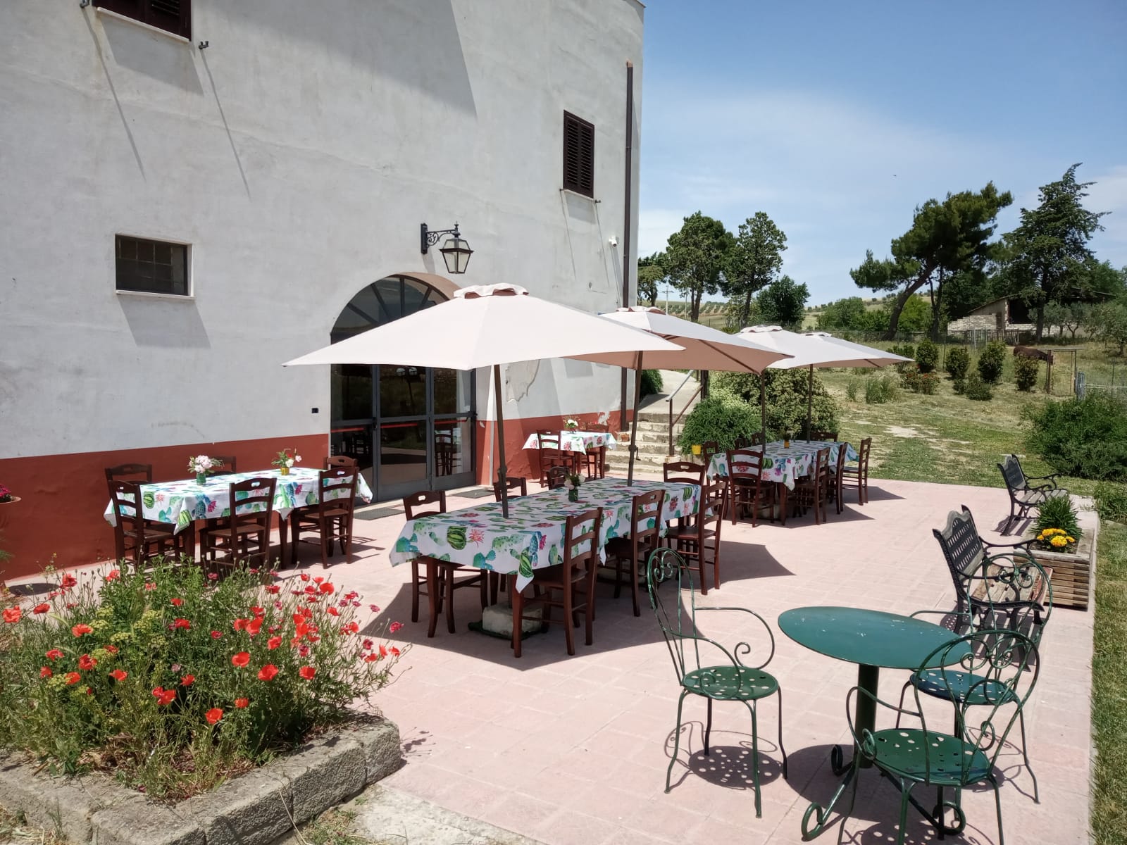 Pranzo all'aperto Cerignola