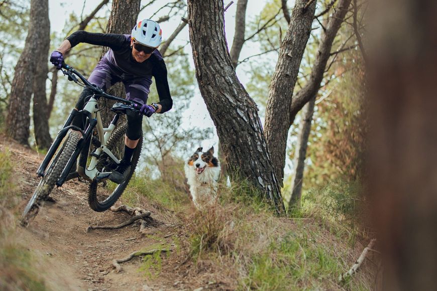 A person is riding a mountain bike on a trail with a dog.