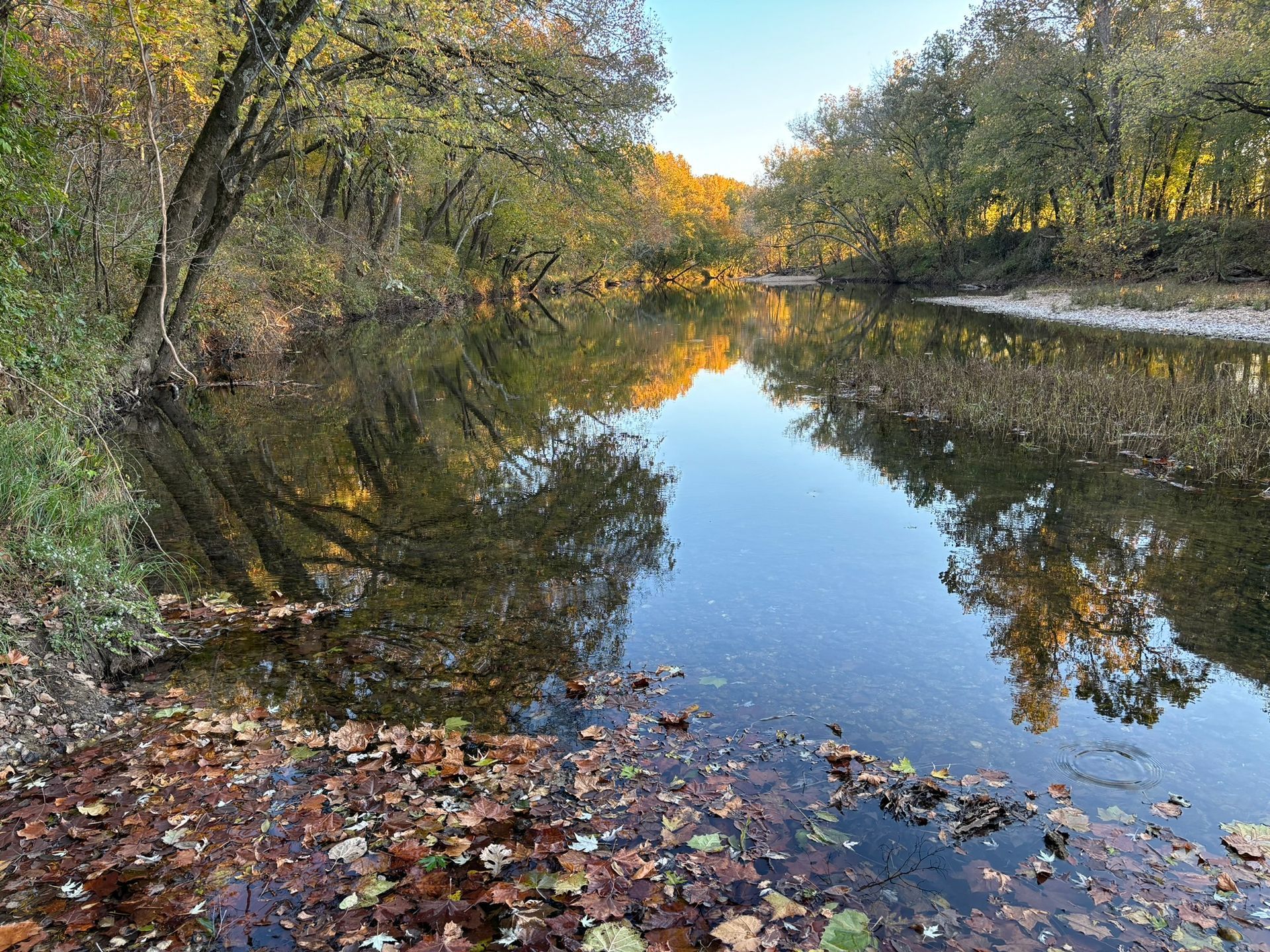 A river surrounded by trees and leaves is reflected in the water.