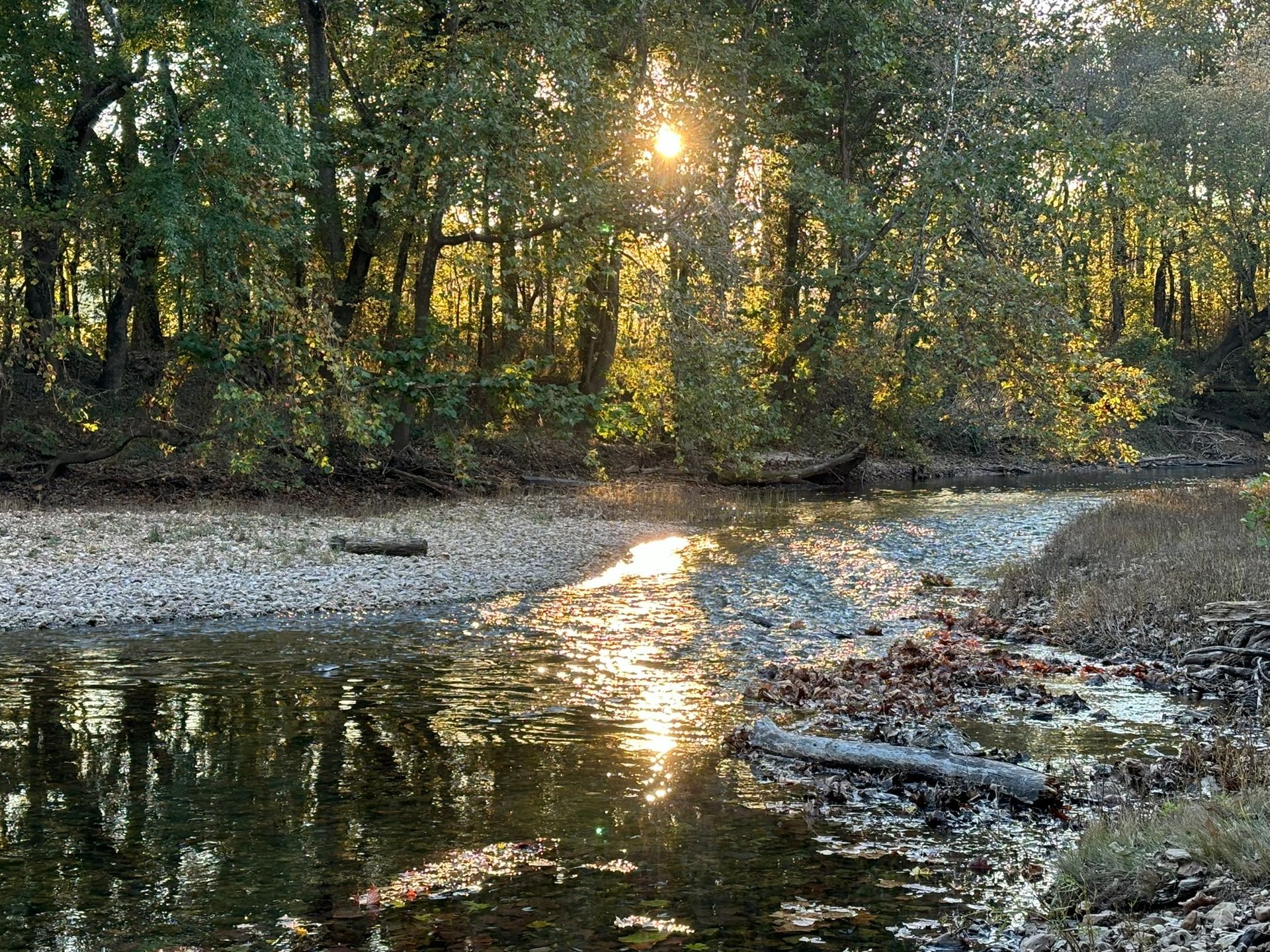 The sun is shining through the trees over a river.