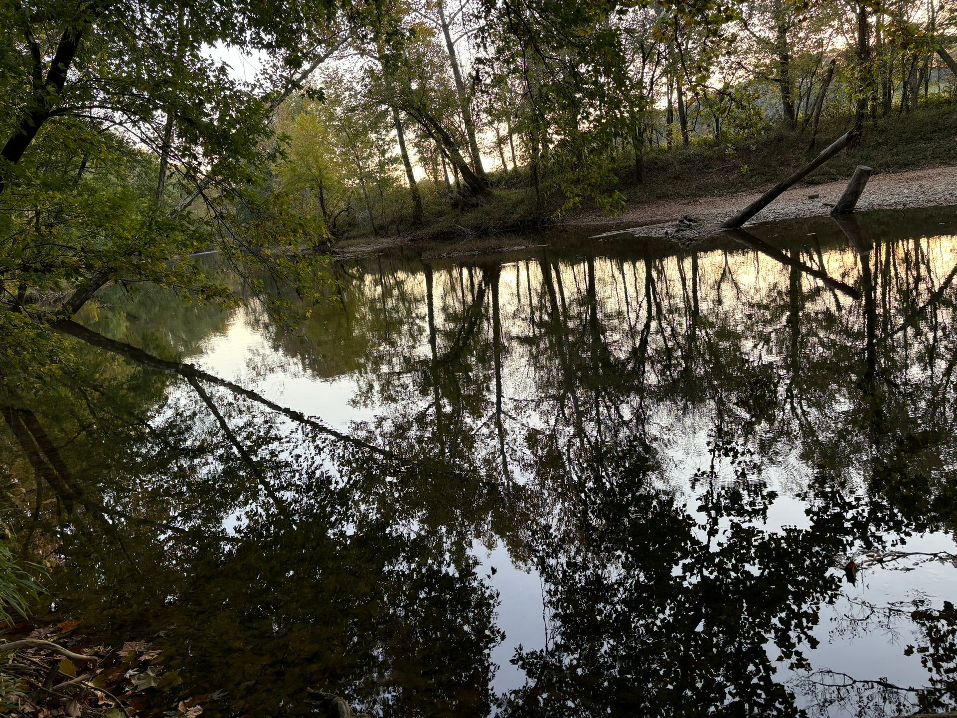 A river with trees reflected in the water