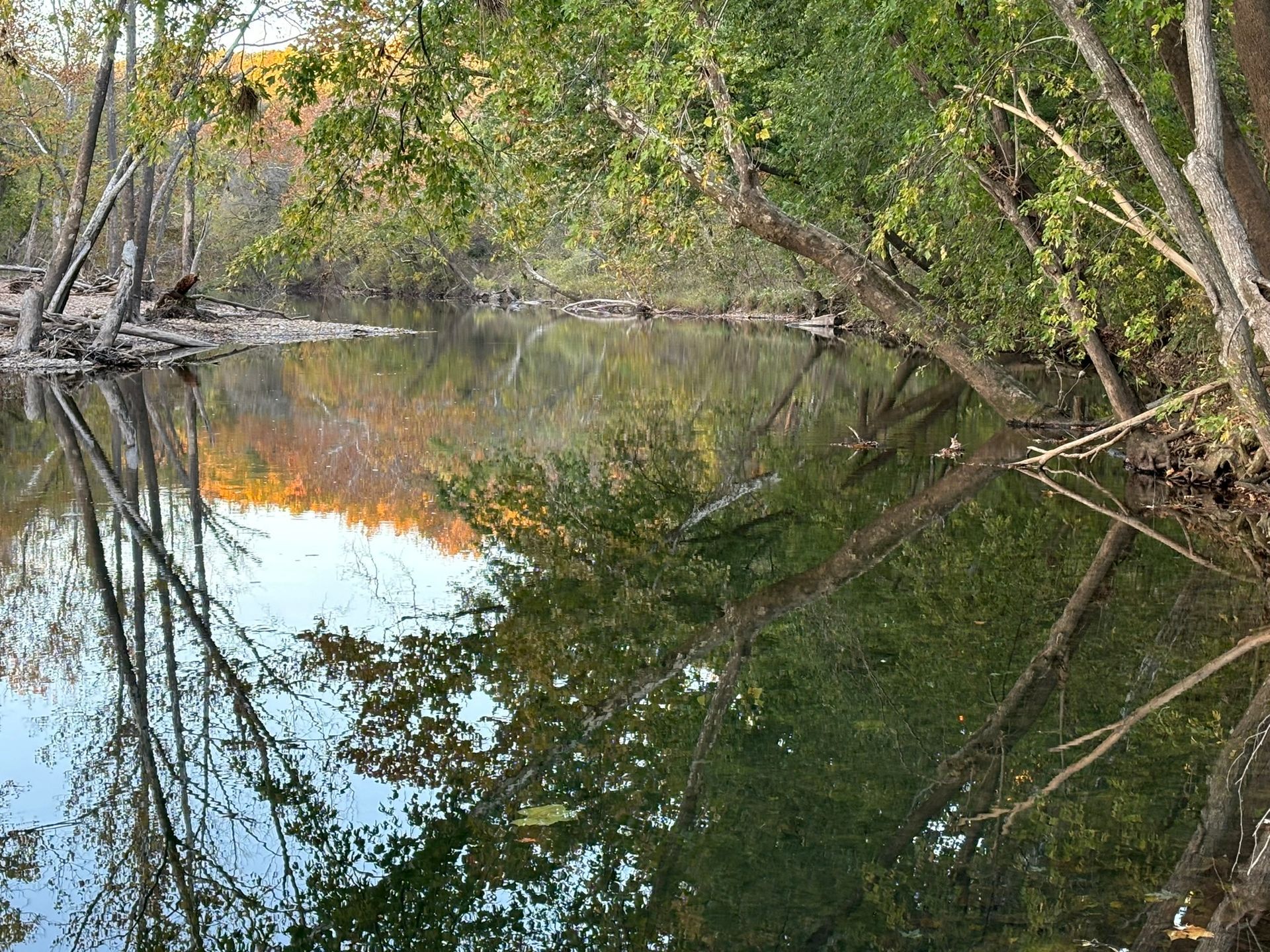 A river surrounded by trees and branches is reflected in the water.