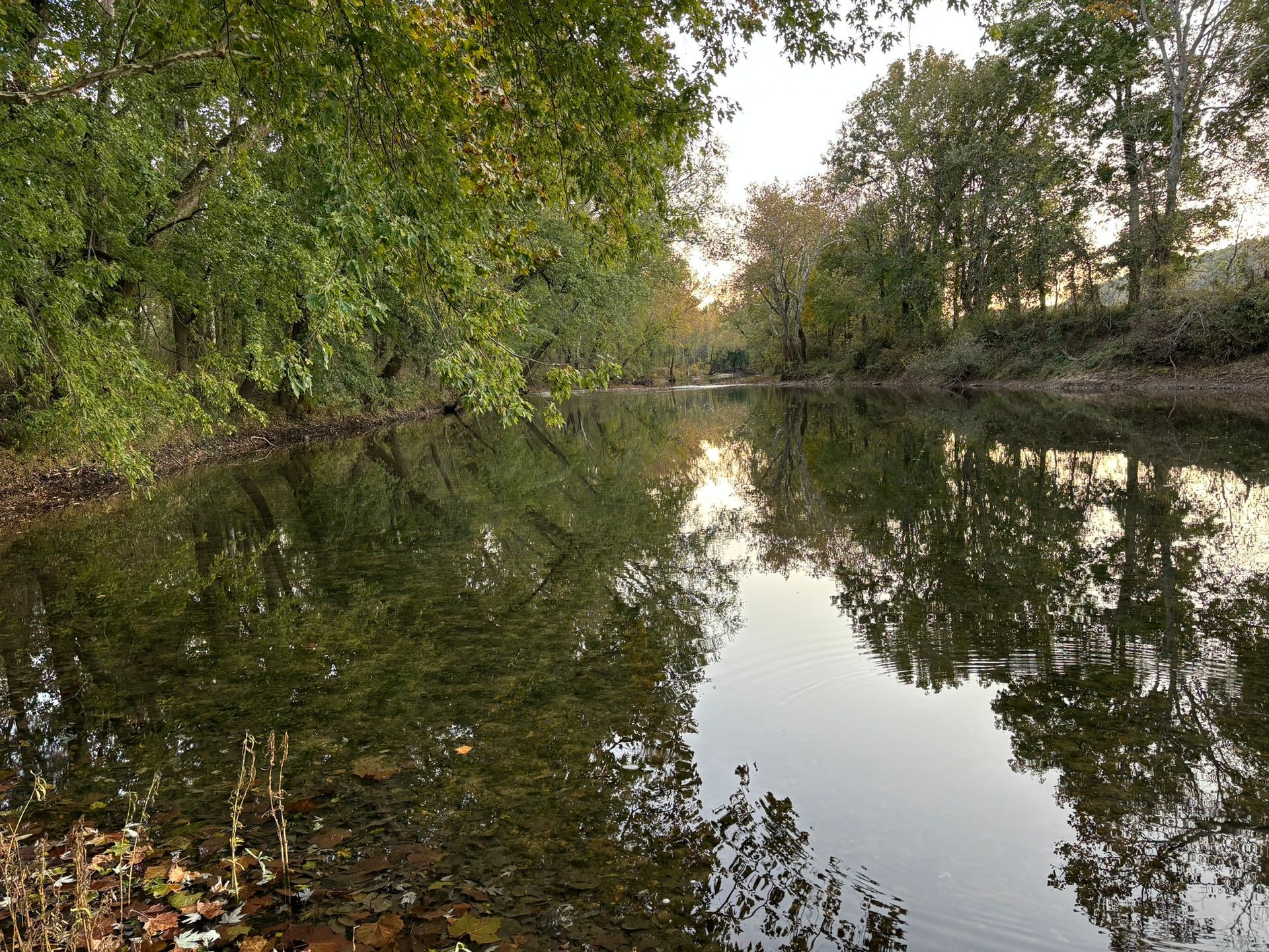A river surrounded by trees and leaves is reflected in the water