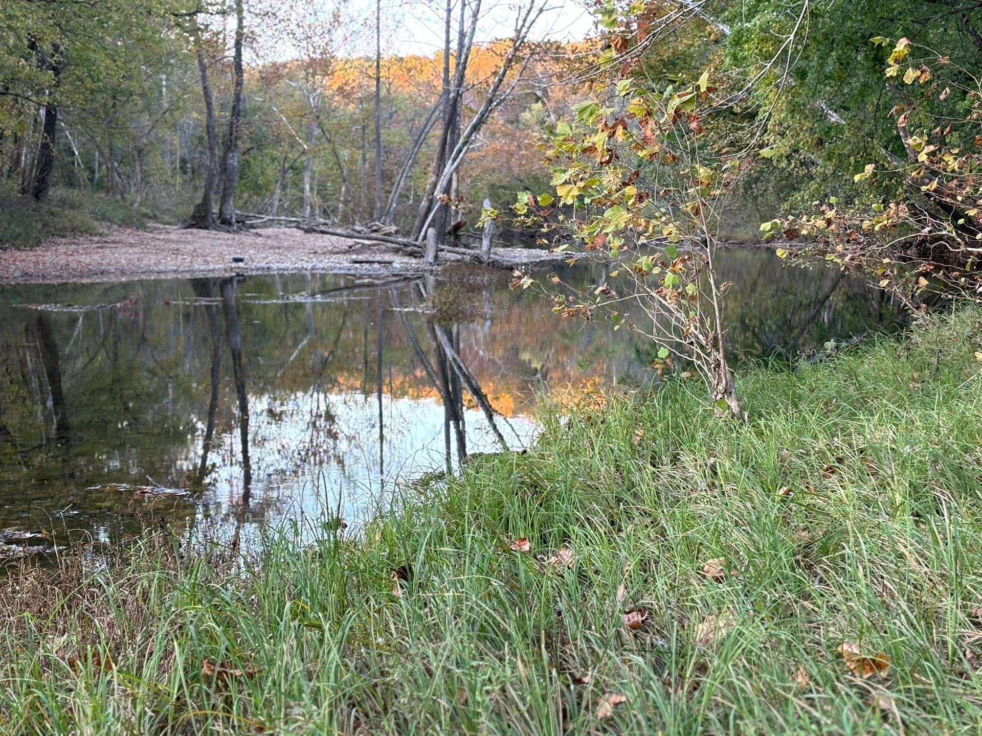 A river surrounded by trees and grass with a reflection of trees in the water.