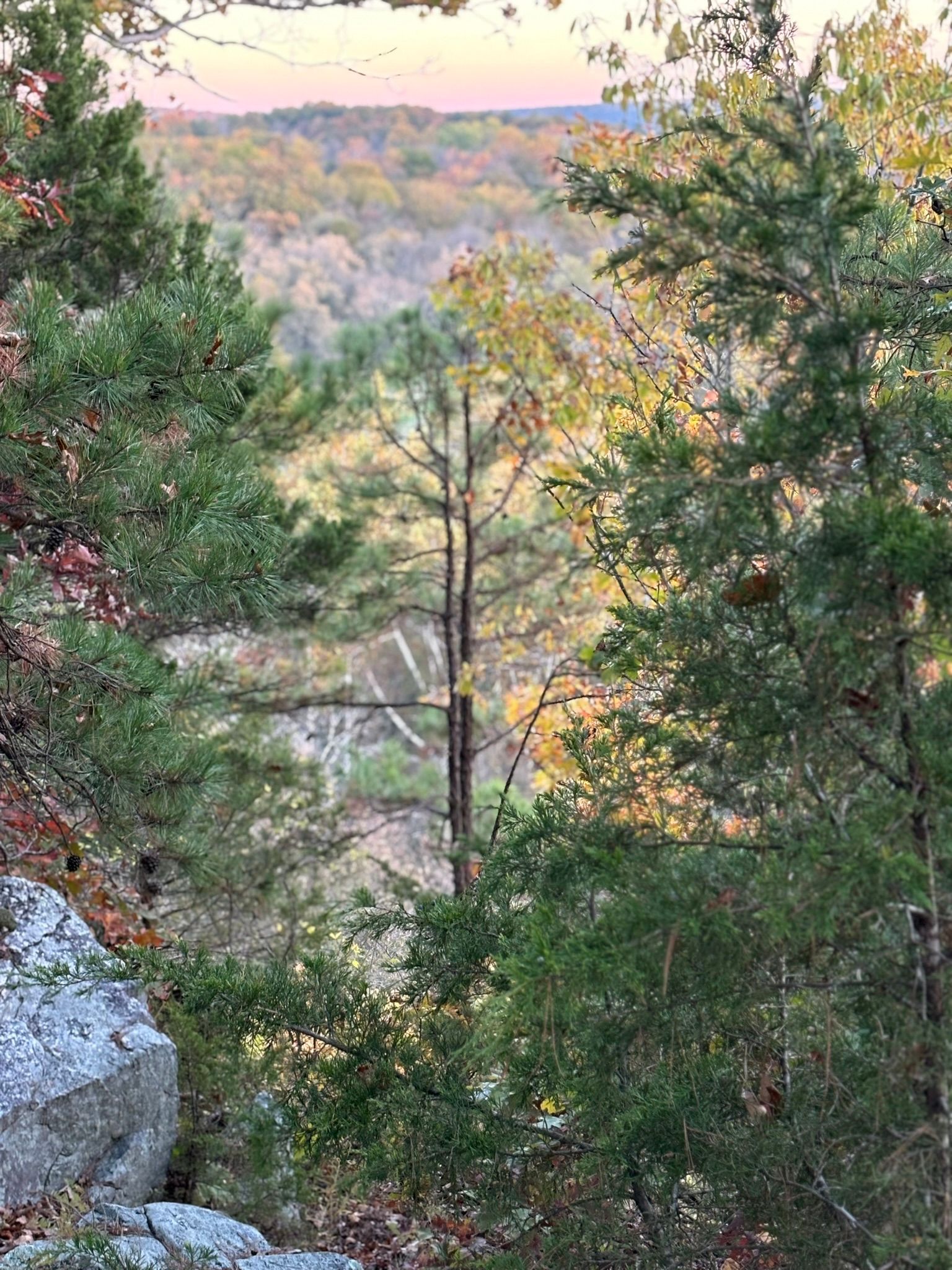 A view of a forest from a rocky cliff.