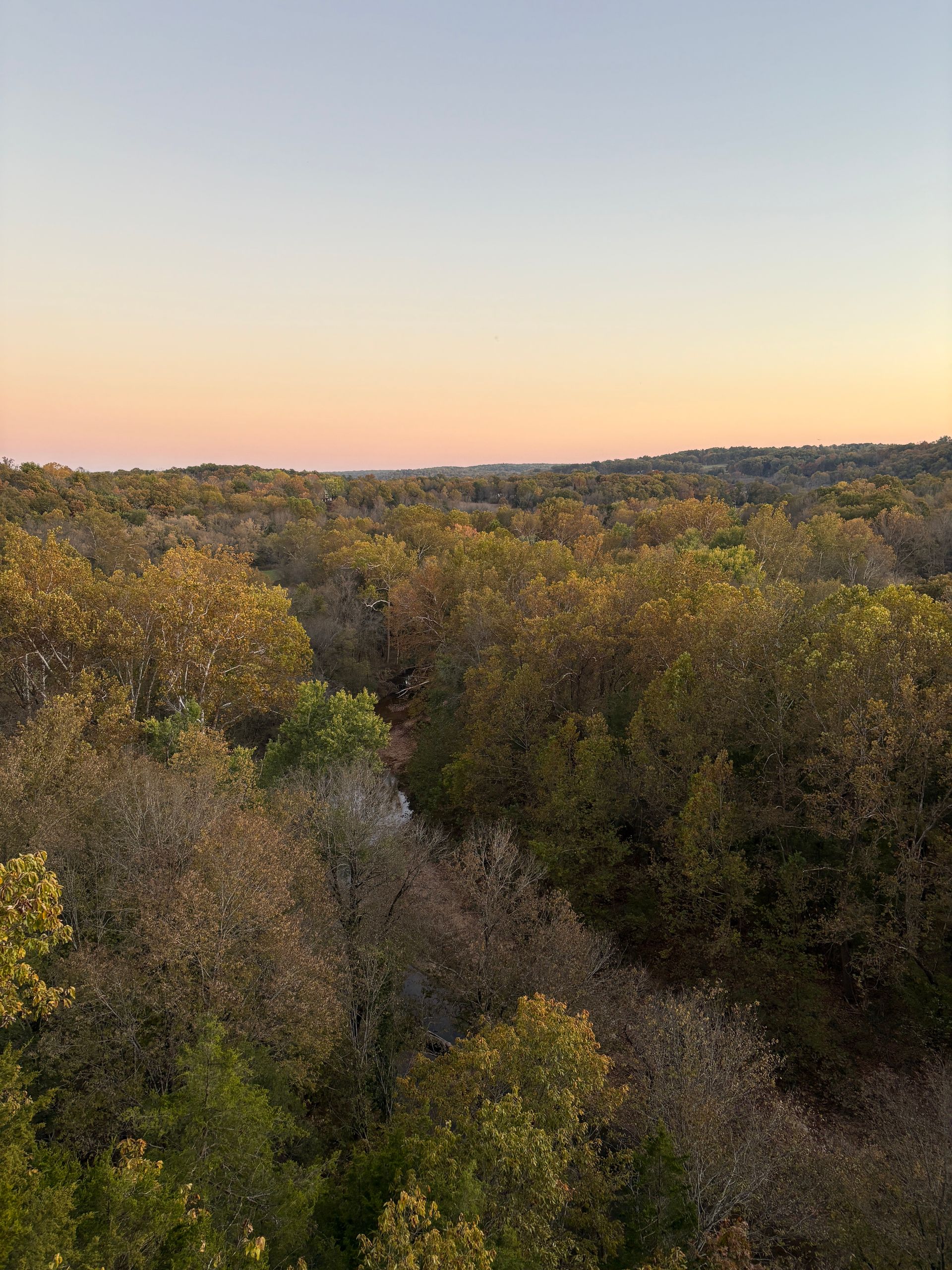 An aerial view of a forest at sunset.