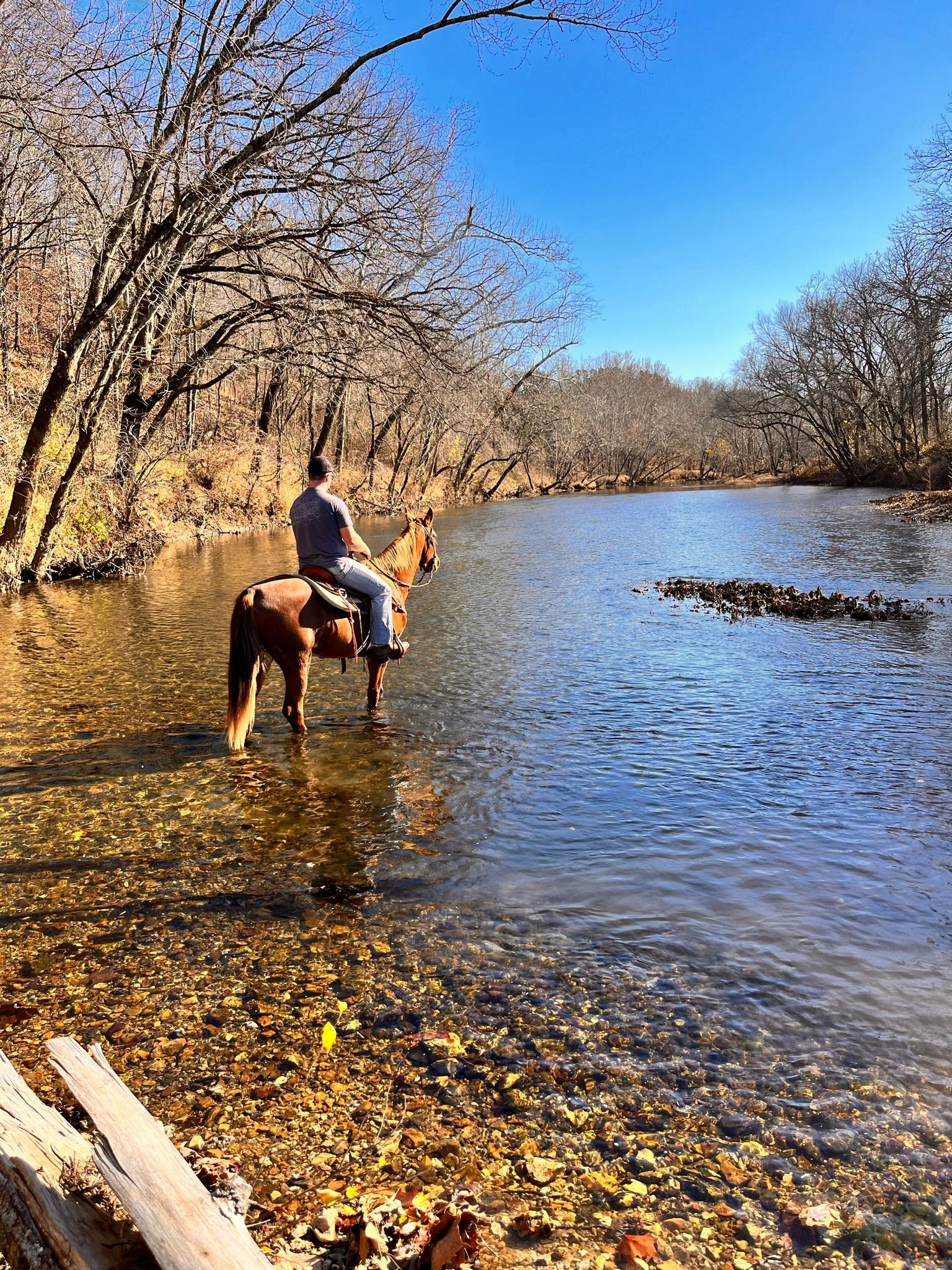 A man is riding a horse through a river.