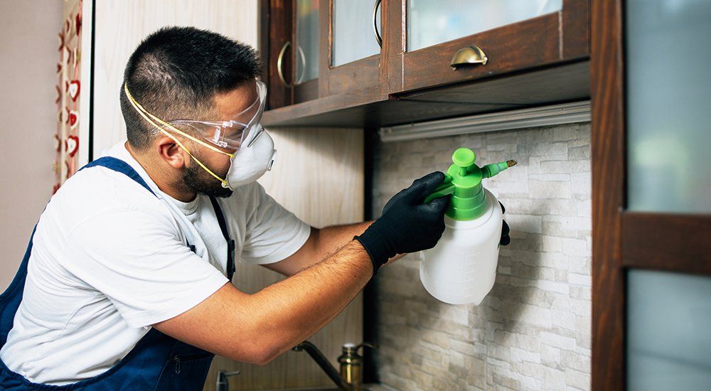 Using Insecticide On Wooden Cabinet — Memphis, TN — Tri-State Exterminating Inc