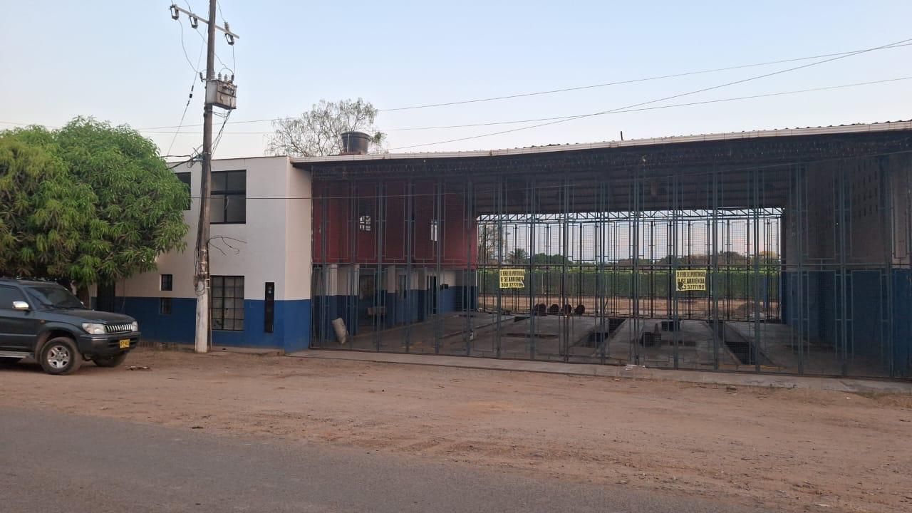 Interior del almacén con pilas de cajas de cartón sobre palés. Vigas de acero azules sostienen el techo.