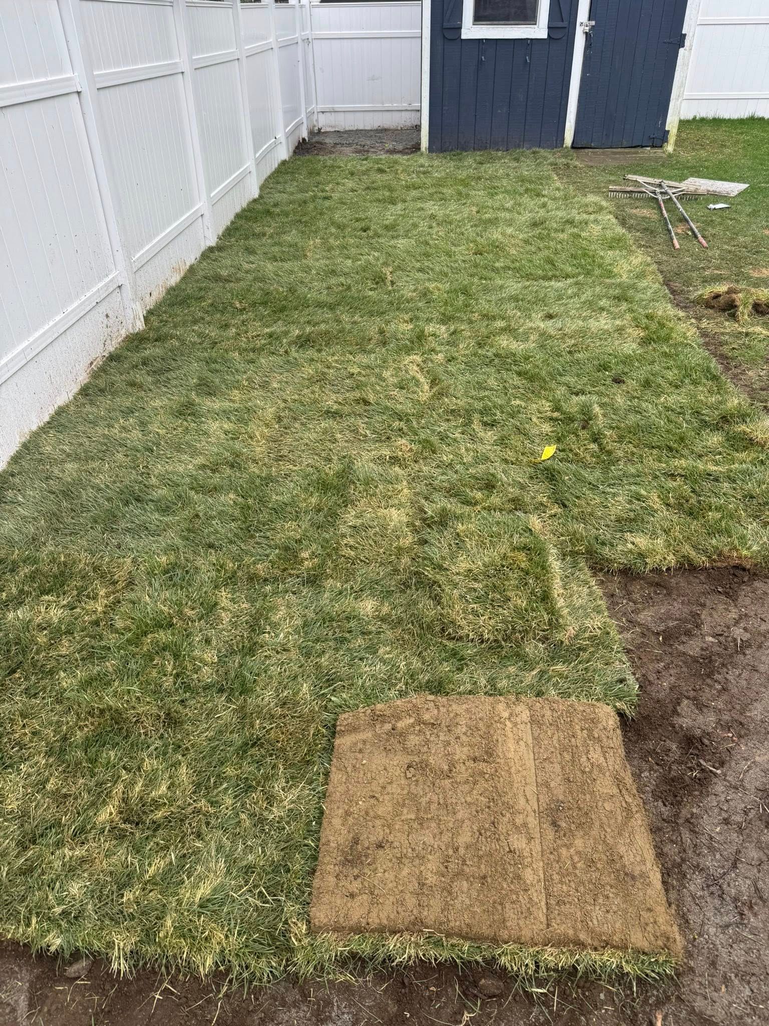 Green sod laid in a backyard near a fence and shed. One sod square is on the ground.
