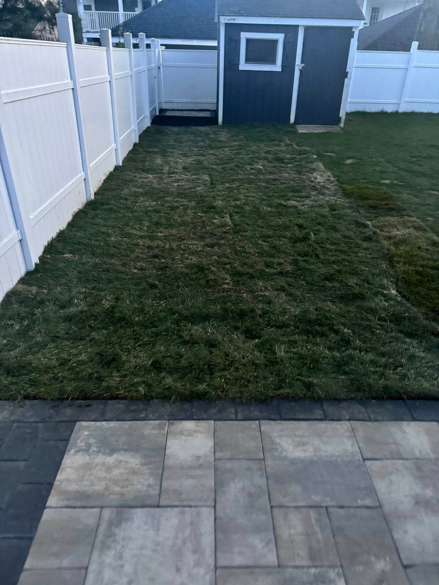 Backyard with patio, lawn, white fence, and shed; dark grass contrasting with light pavers.