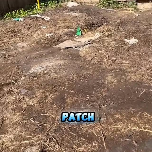 Dirt patch in a yard with a small hole in the center, and the word 