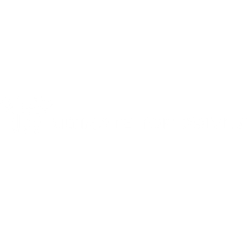A white background with a few lines on it