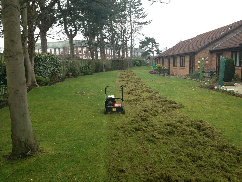 lawn mowing in progress