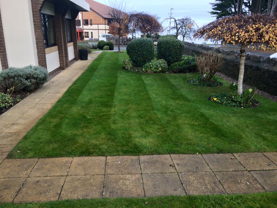 lawn and pavement