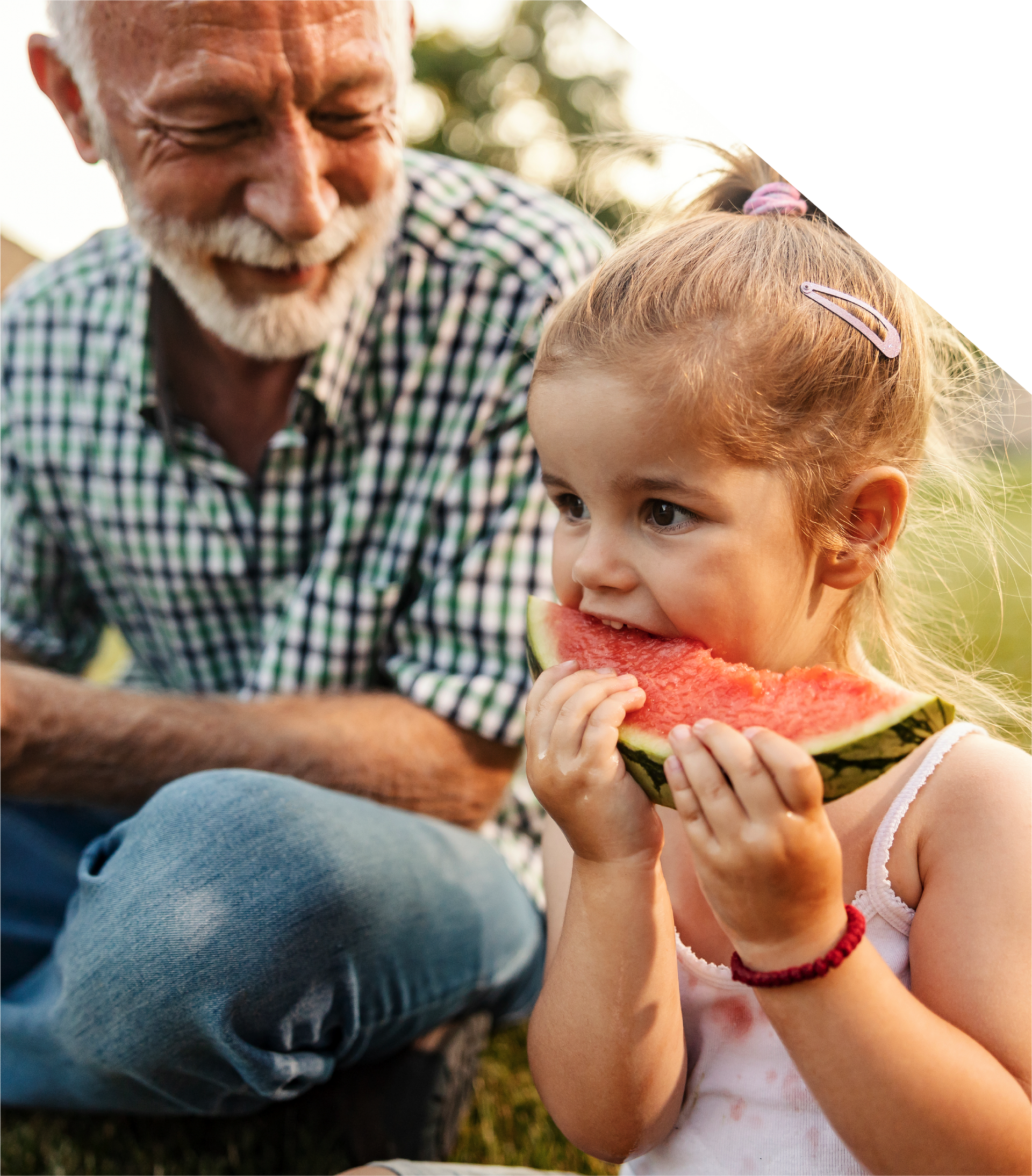 A little girl is eating a slice of watermelon with her grandfather.
