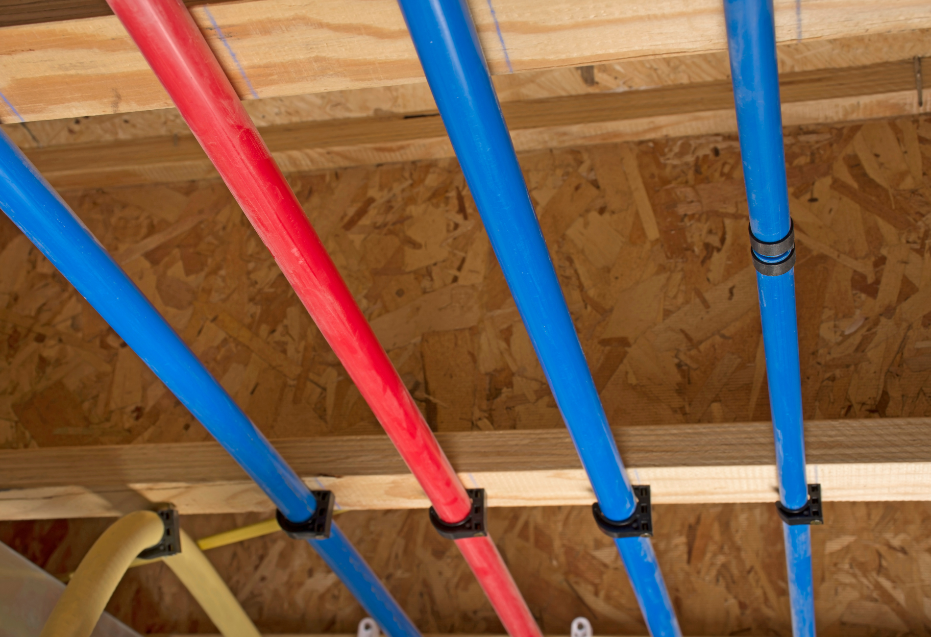 Blue and red PEX pipes secured to wooden joists, likely for water distribution.