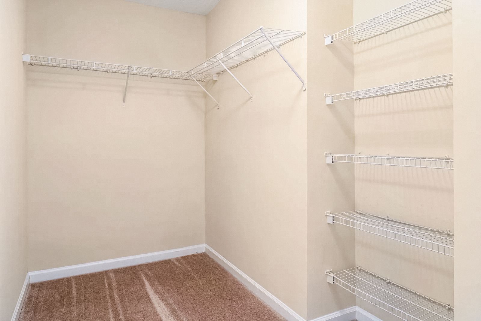 Empty walk-in closet with wire shelving and beige walls over a carpeted floor.