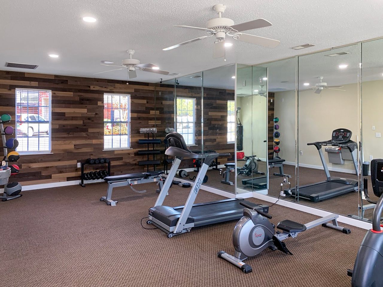 Gym with treadmills, rowing machine, weight bench, and mirrors. Dark wood accent wall, brown carpet, ceiling fans.