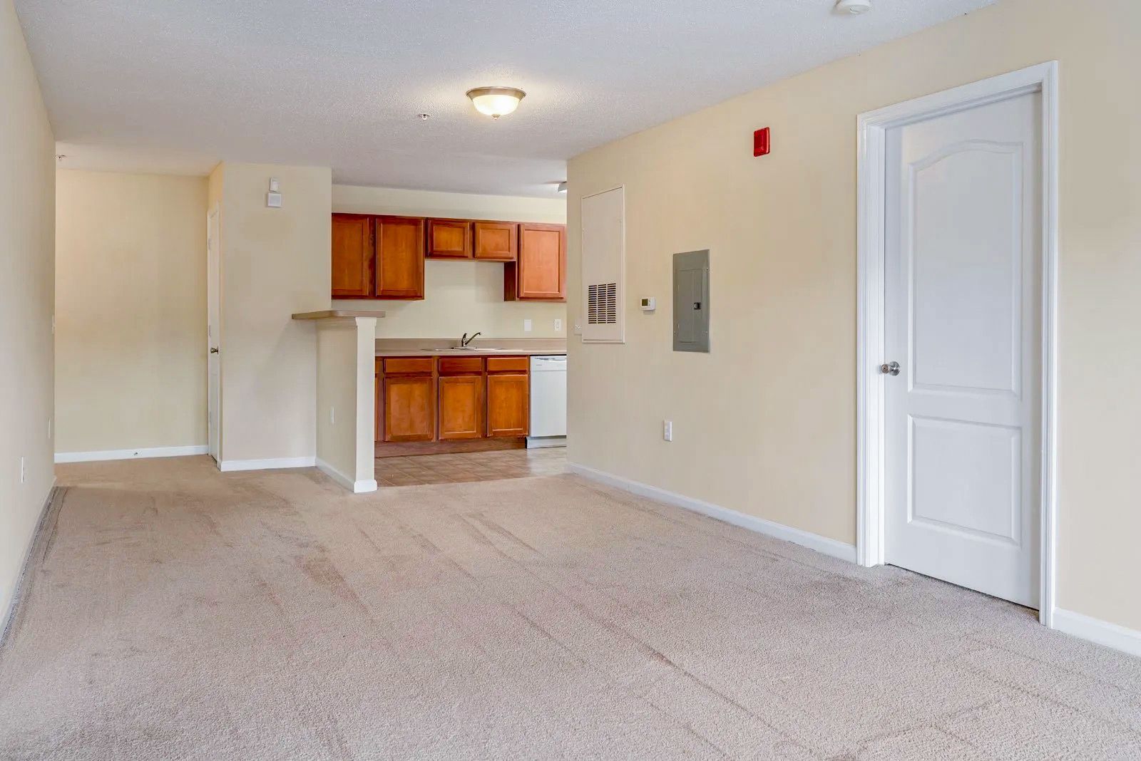 Open-concept living space with kitchen visible in the background, light brown carpet, and a white door.