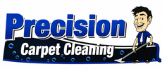 Precision Carpet Cleaning
