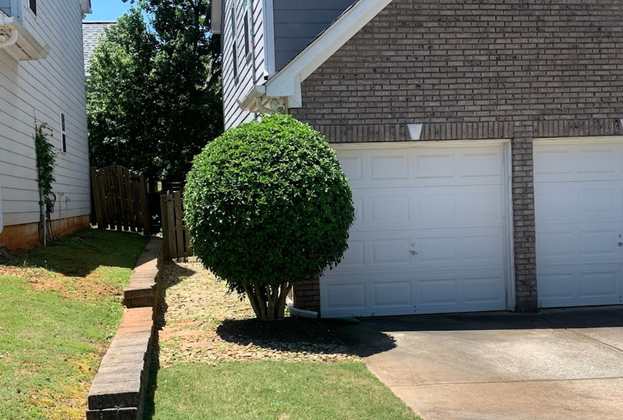 A house with two garage doors and a bush in front of it.