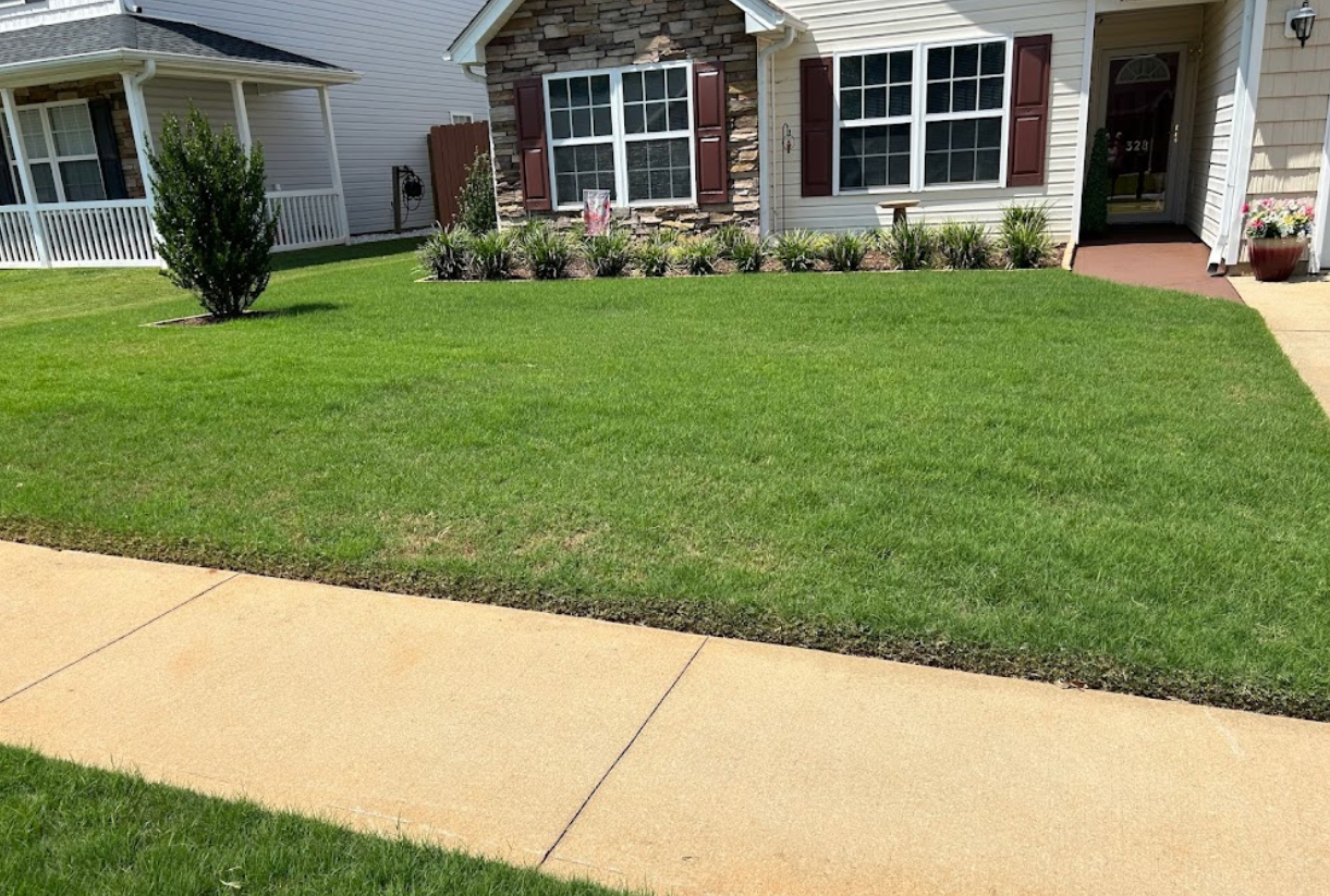 A house with a lush green lawn and a sidewalk in front of it.