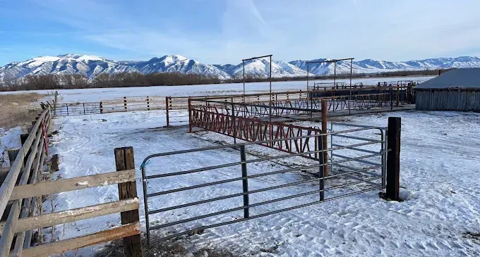 A snowy field with a fence and mountains in the background.