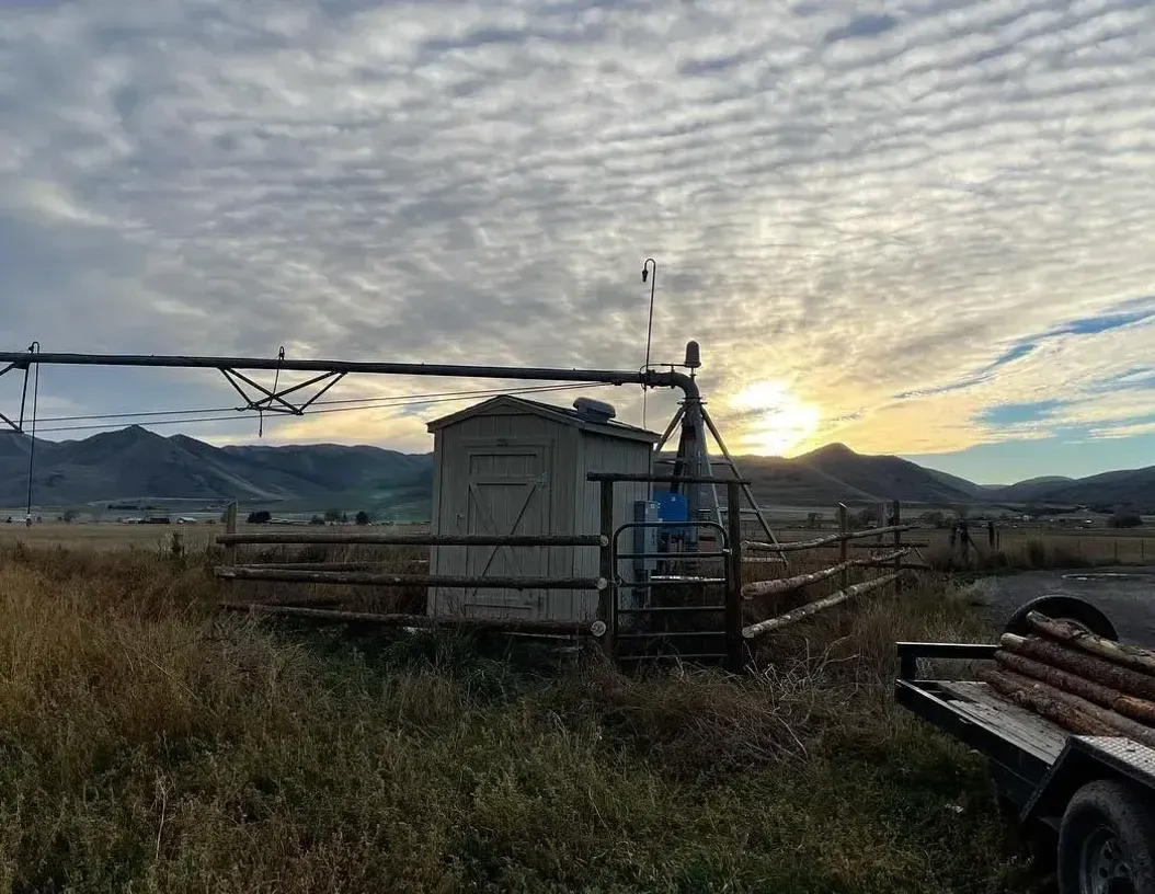 A trailer is parked in a field with a shed in the background.