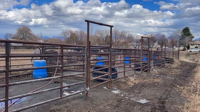 A snowy field with a fence and mountains in the background.