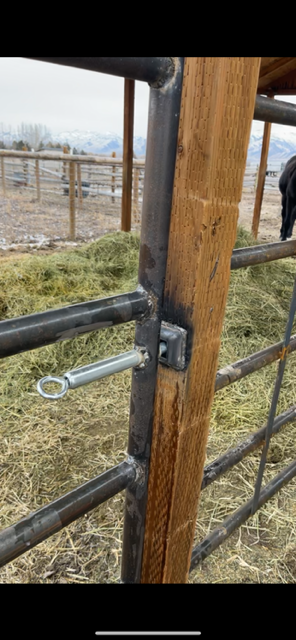 A horse is standing in a dirt field next to a fence.