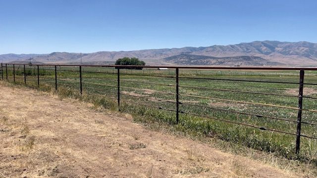 A person is riding an atv in a field next to a fence.