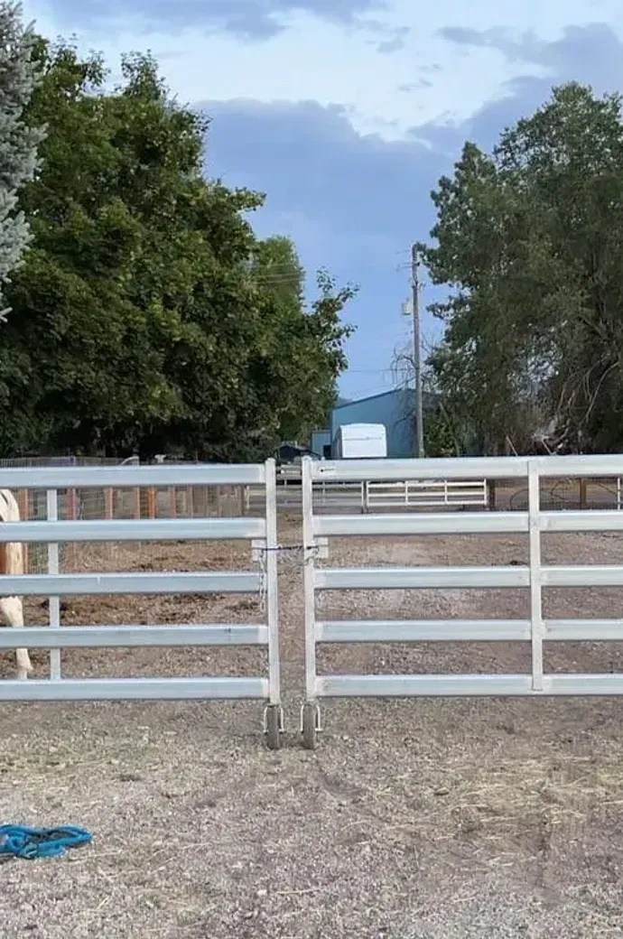 A brown and white horse is standing in a fenced in area behind a gate.