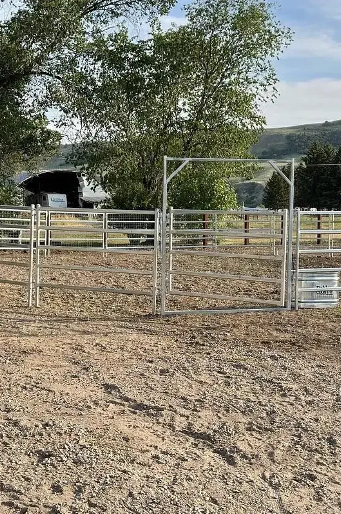 A horse is standing in a dirt field next to a fence.