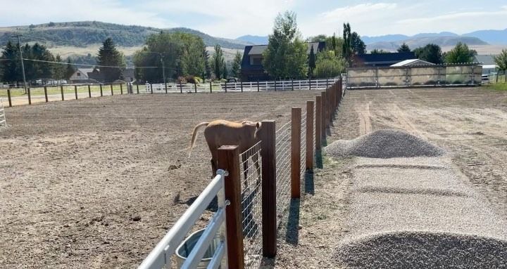 A horse is standing next to a fence in a dirt field.