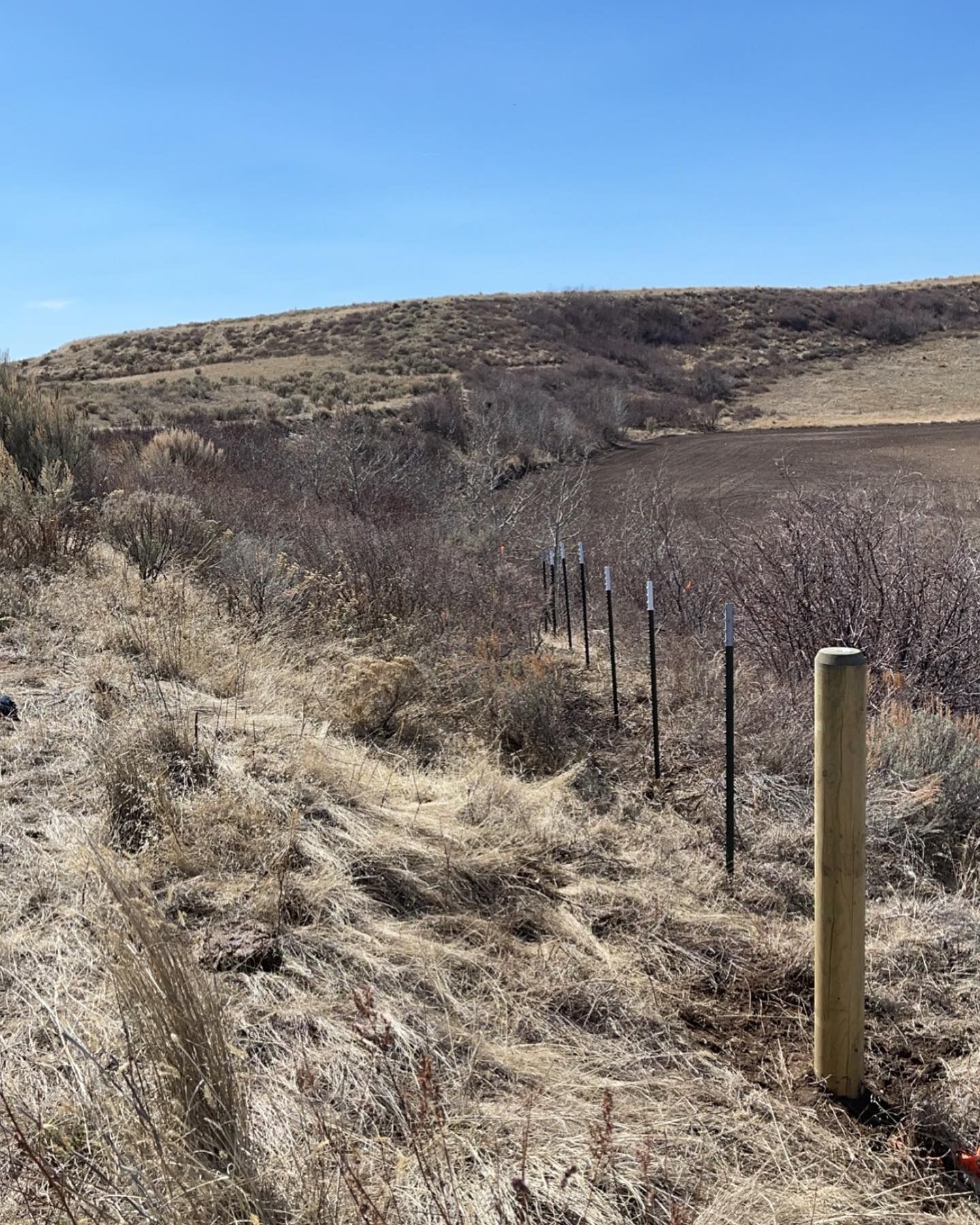 A wooden post is in the middle of a dry grassy field.